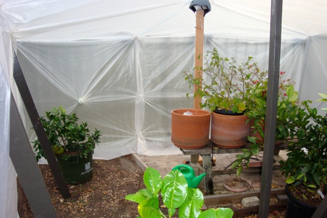 Diy Greenhouse Tent