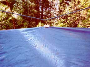 Tarp Shelter