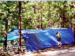 Tarp Shelter5