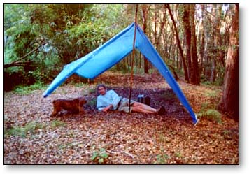 Two Pole Tarp Tent