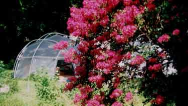 Test Studio Tent Dome