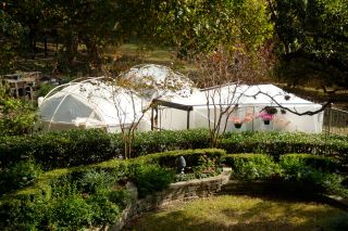 Greenhouse Yurt Dome 3