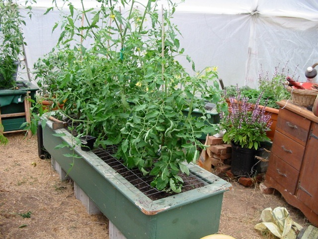 Winter Greenhouse Gardening in a Growing Dome