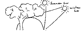 Summersun1