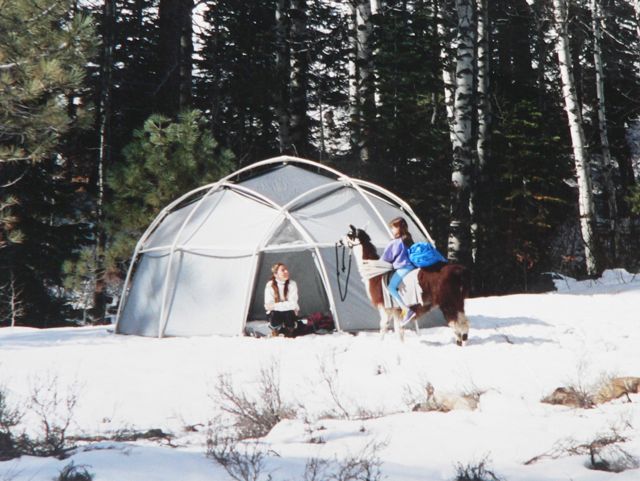 Winter Dome Llama